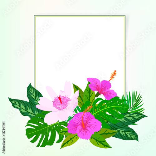 Square card with tropical decor