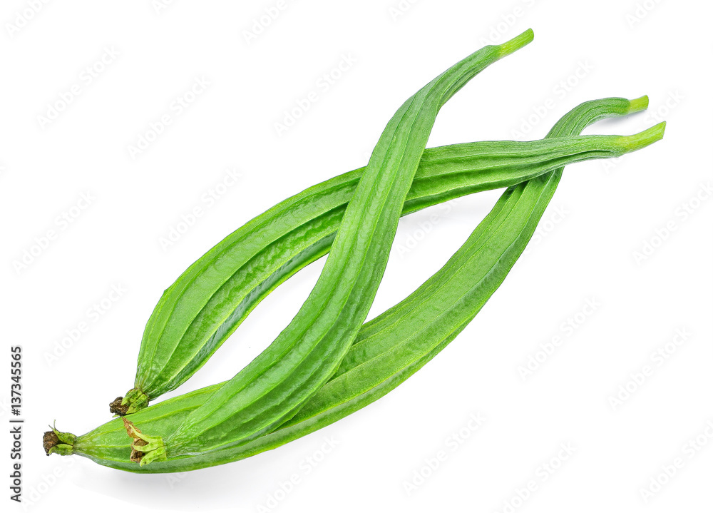 fresh luffa acutangula isolated on white background fresh luffa acutangula isolated on white background
