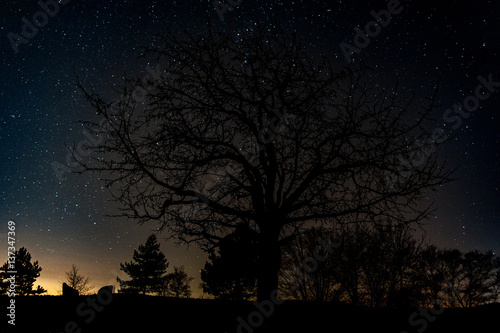 Sternenhimmel über Landschaft © Manfred Herrmann