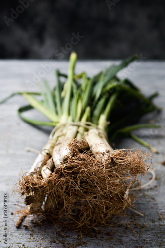 raw calcots, sweet onions typical of Catalonia, Spain