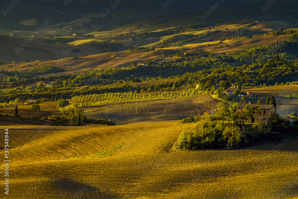 Fototapeta premium Tuscan autumn landscape in the light of the rising sun