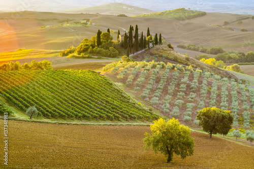 Картината върху платно Tuscan autumn landscape in the light of the rising sun