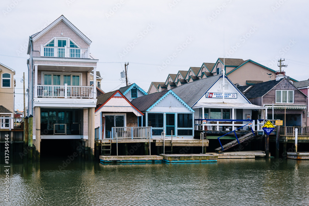 Houses along Cape May Harbor, in Cape May, New Jersey.