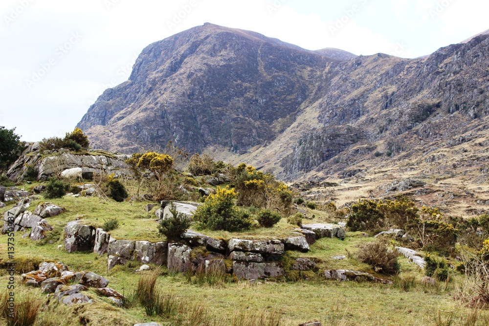 Obraz premium Irish landscape as Gap of Dunloe in Killarney National Park,Kerry,Ireland, cloudy day