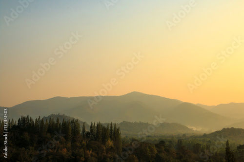 Morning time wild forest in the sunrise .