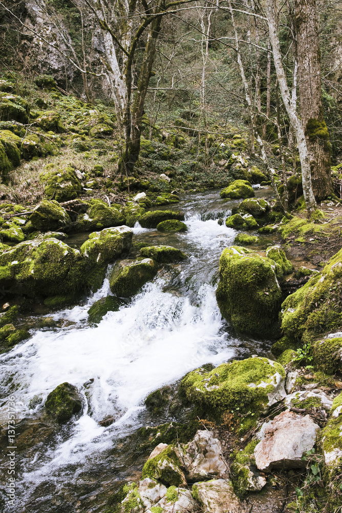 Mountain river with rapids, waterfall.Landscape with forest, river and stones in Bulgaria.