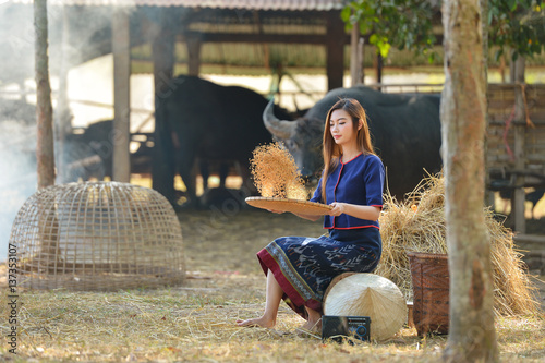 Beautiful Thailand woman working is happy,thailand,thailand woman,Thailand culture,thailand buautiful farmer photo