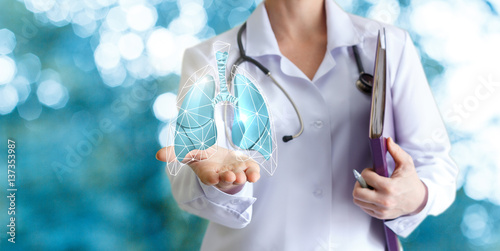 Doctor shows human lungs on blurred background. photo
