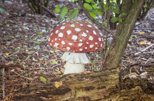 concrete imitation of fly agaric mushroom