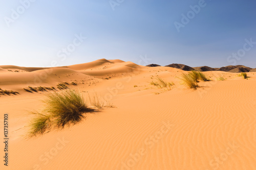 Sand dunes Ouzina  Morocco 