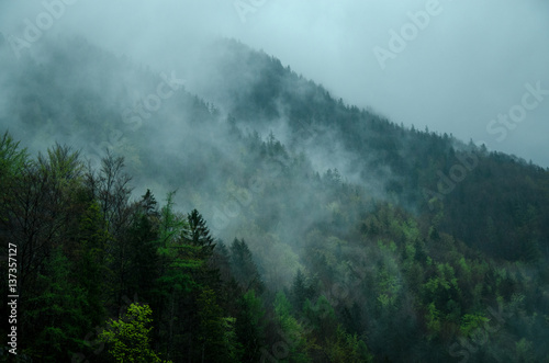 mountain fog © metha275