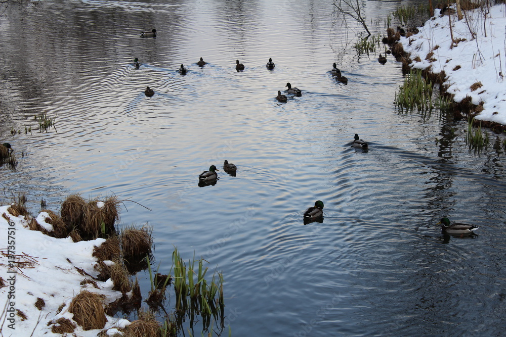 Nature and Landscape