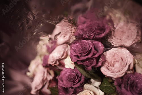 a bouquet of roses in drops of dew, soft lilac purple color, soft blurred image. Soft focus, artistic effect.
