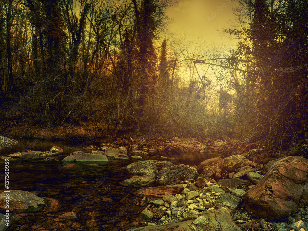 Stream bathed in golden light, Europe, rural Italy.