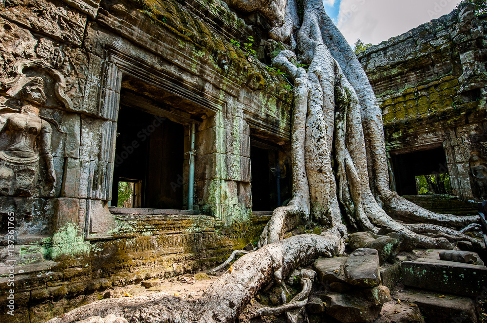 Ta Prohm Temple landmark in Siem Reap, Cambodia. Angkor Wat inscribed on the UNESCO World Heritage List in 1992 Ta Prohm Temple landmark in Siem Reap, Cambodia. Angkor Wat inscribed on the UNESCO World Heritage List in 1992