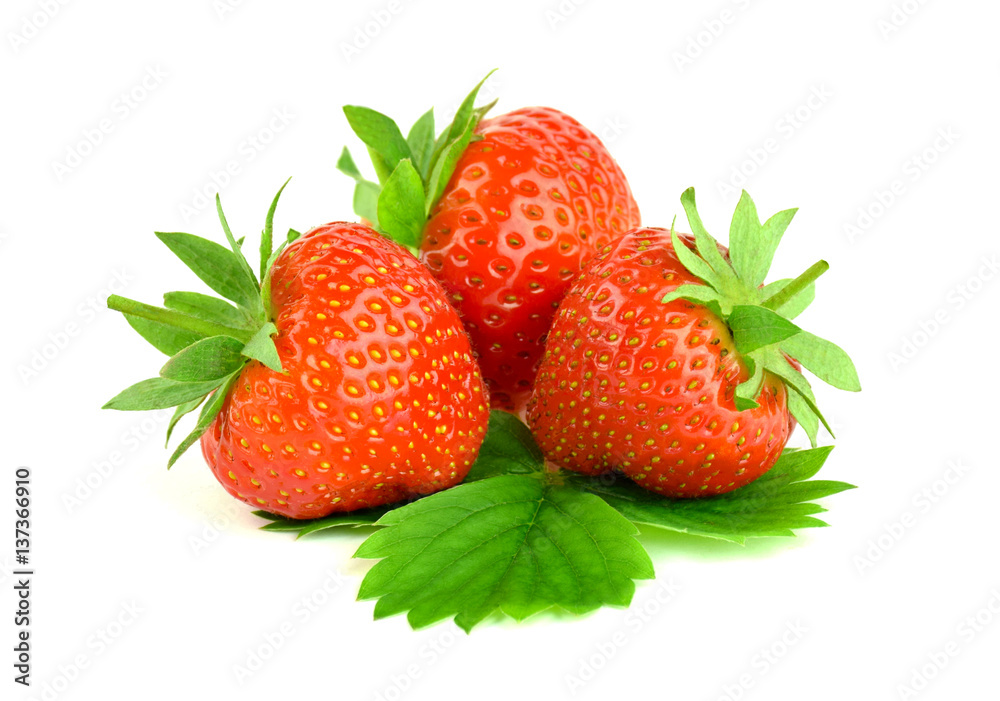 Red berries of a strawberry with leaves, isolated. Red berries of a strawberry with leaves, isolated.