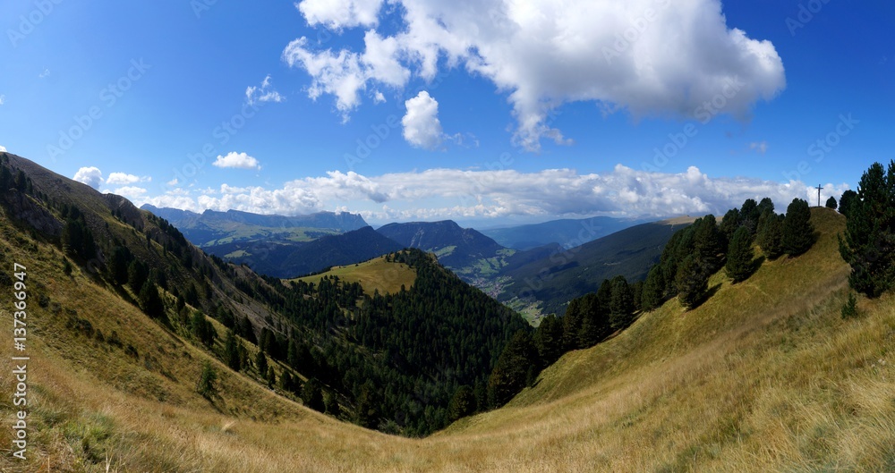 Panorama Aussicht auf Berglanschaft / Wiese und Wald / Südtirol / Gröden
