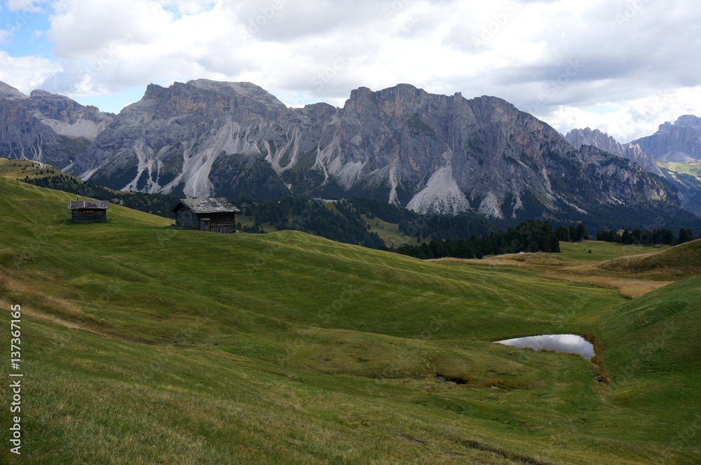 Fototapeta premium Mastle Alm in Gröden und Sicht auf Puez Geisler Natur Park