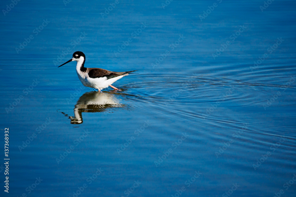 Crossing the water Crossing the water