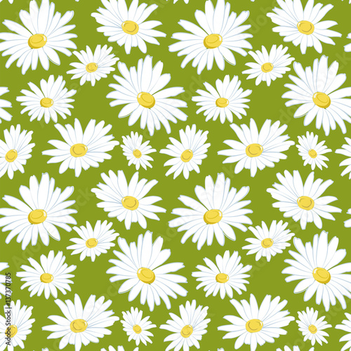 Seamless pattern with white daisies on a green background.