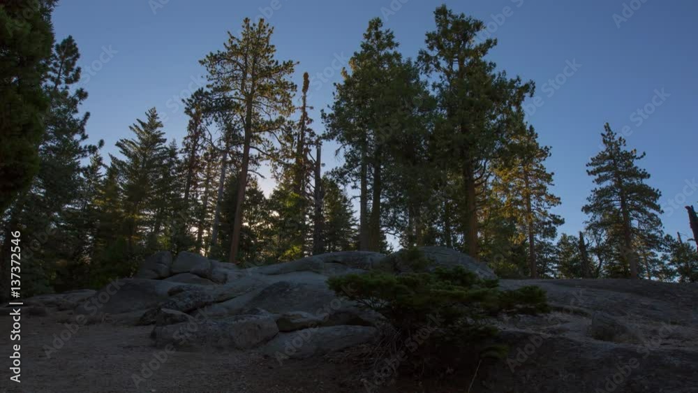 MoCo Timelapse Tracking Shot of Sunrise through Alpine Forest -Zoom In- MoCo Timelapse Tracking Shot of Sunrise through Alpine Forest -Zoom In-