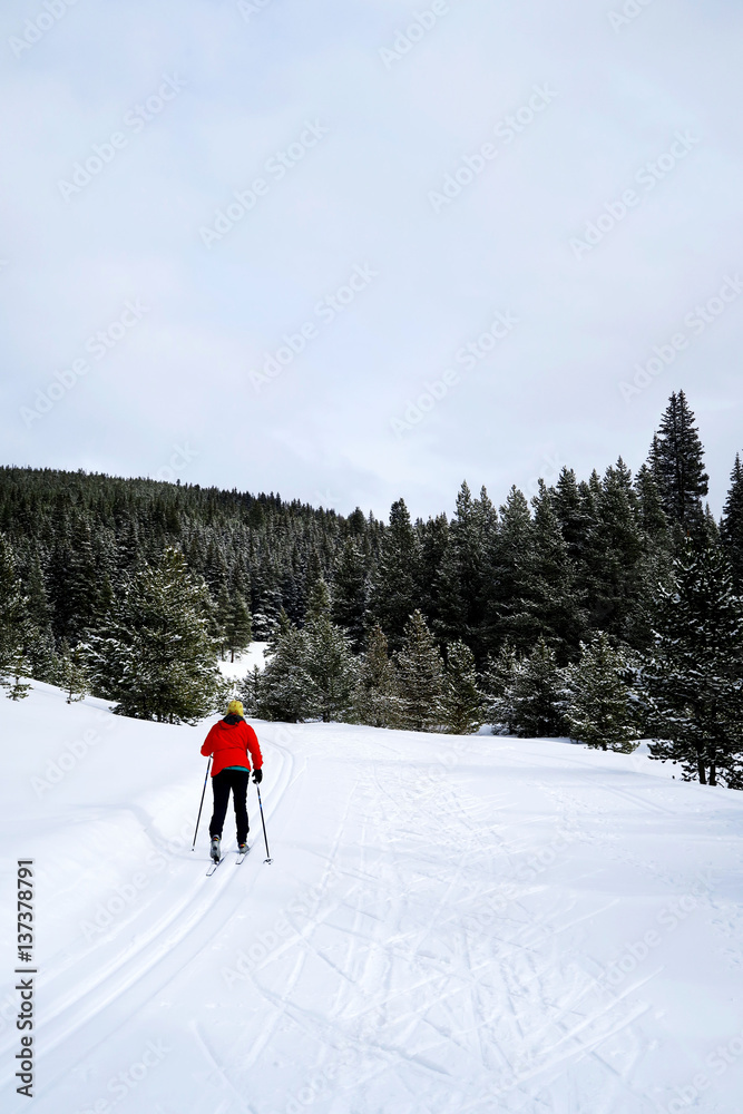 nordic skiing