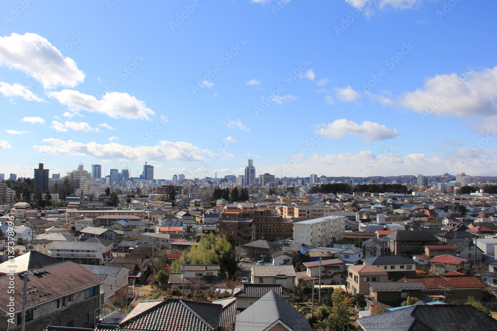 Obraz premium 瞑想の松展望台から望む仙台市(宮城県)