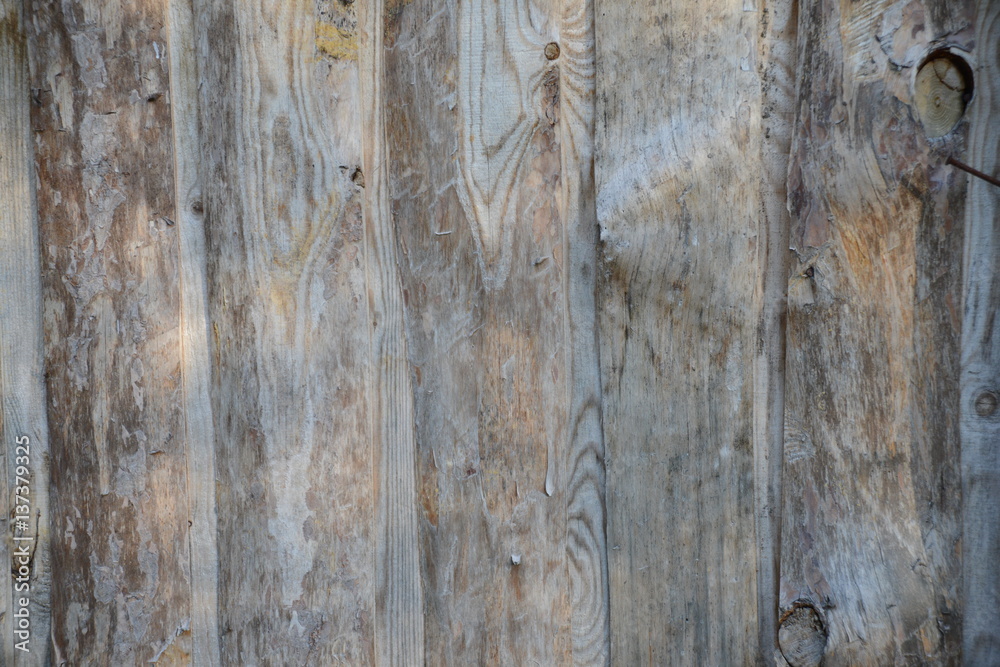 Texture of old boards