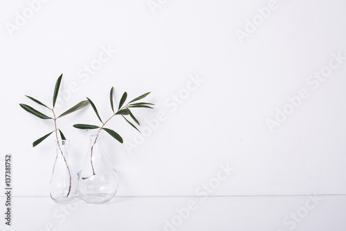 Two olive branches in glass bottles photo