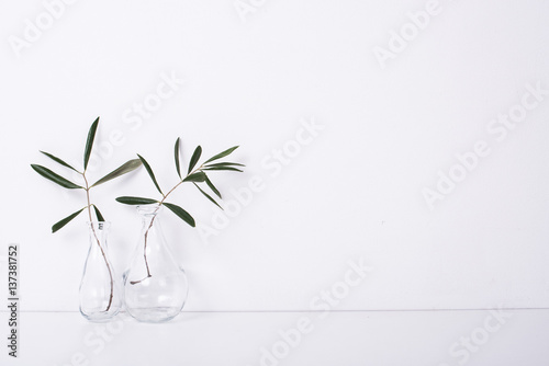 Canvastavla Two olive branches in glass bottles