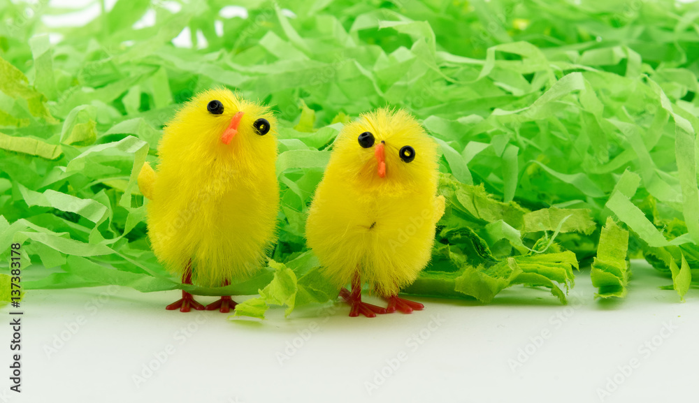 Easter Eggs on green paper with chicken