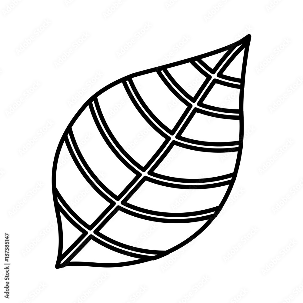 leafs plant isolated icon vector illustration design leafs plant isolated icon vector illustration design