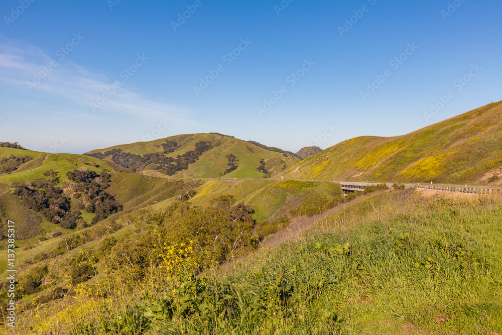 California Coastal Mountain Landscape in Spring