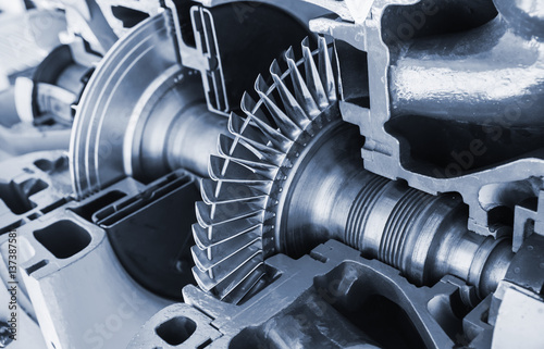 Turbine structure model with cross section