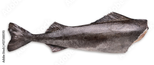 black cod