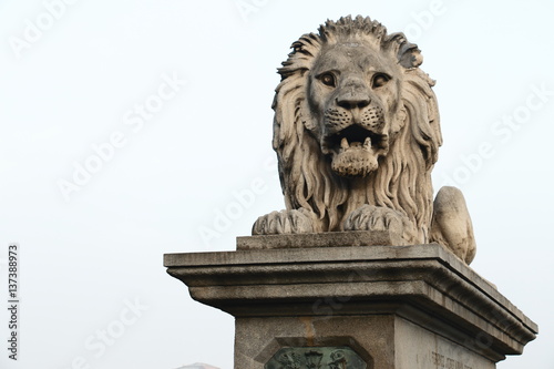 Statue eines Löwen. Löwenstatue am Brückenkopf der Széchenyi Kettenbrücke in Budapest Ungarn.