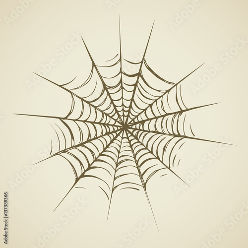 Web. Vector drawing