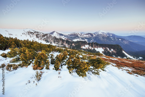 Colorful spring landscape of mountain ranges in the Carpathians 
