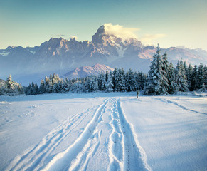 the winter road. Dramatic scene. Carpathian, Ukraine, Europe