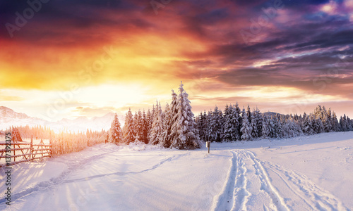 the winter road. Dramatic scene. Carpathian, Ukraine, Europe