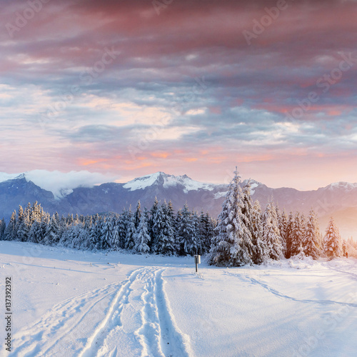 the winter road. Dramatic scene. Carpathian, Ukraine, Europe © standret