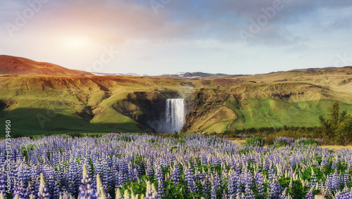 Tableau sur toile Great waterfall Skogafoss in south of Iceland near