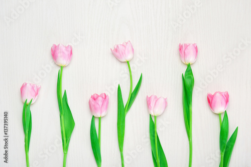 Beautiful Pink tulips flowers on wooden white background. © draw05