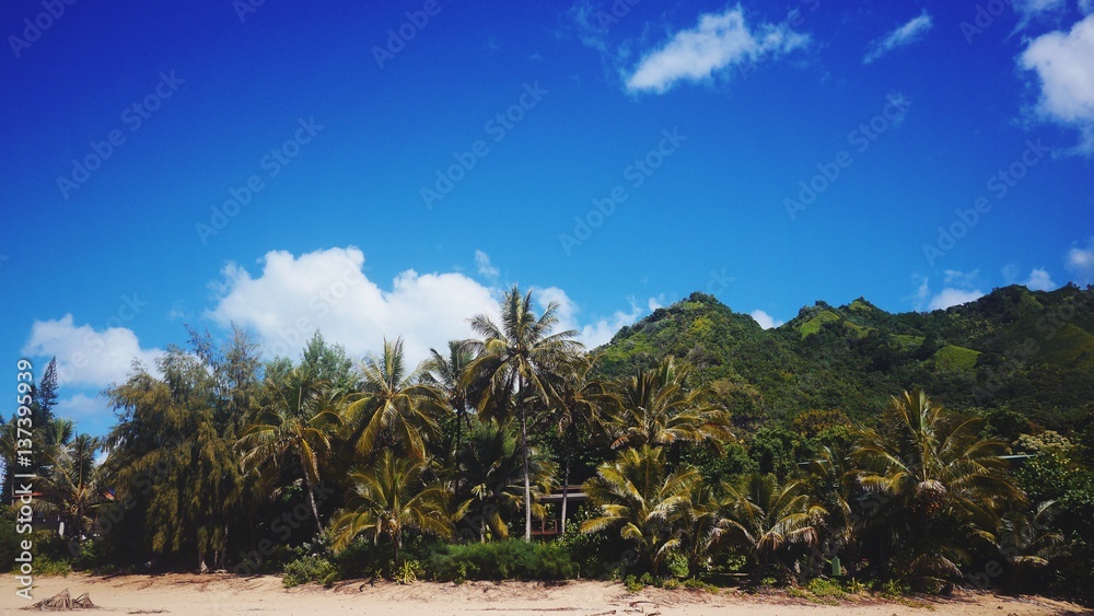 Obraz premium Beachfront