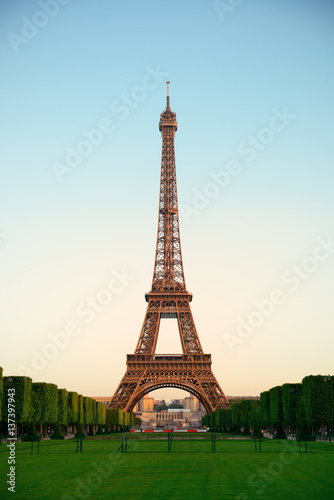 Eiffel Tower Paris © rabbit75_fot