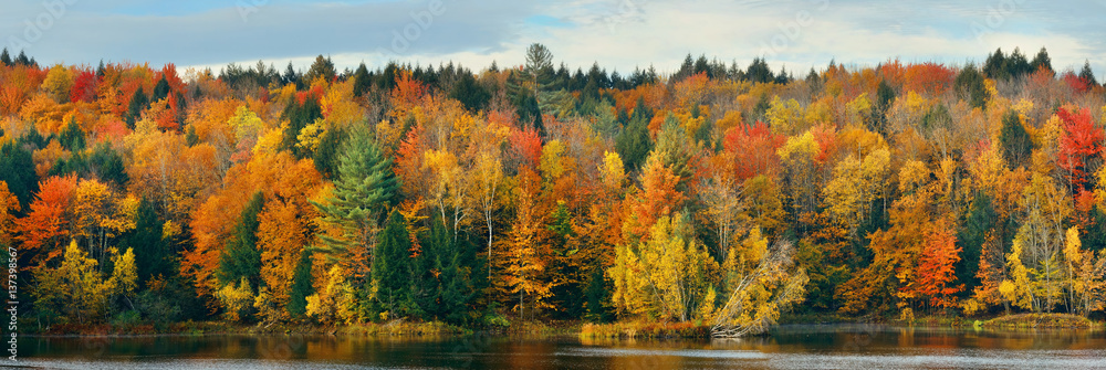 Lake Autumn Foliage - obrazy, fototapety, plakaty 