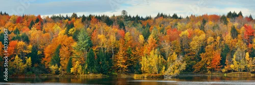 Obraz  z motywem Lake Autumn Foliage