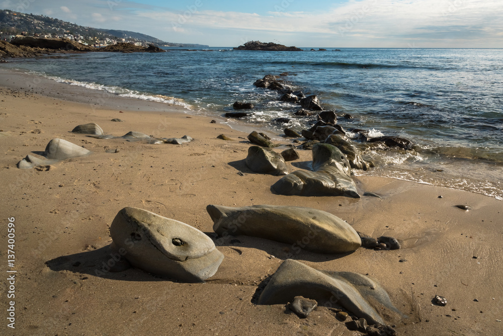 Obraz premium Rock Trail Leading To The Bird Island