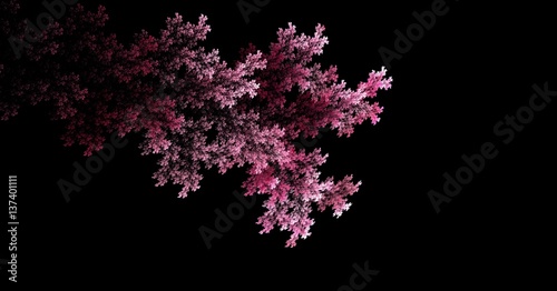 fractal Sakura branch on black background