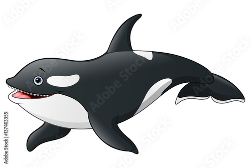 Cartoon killer whale